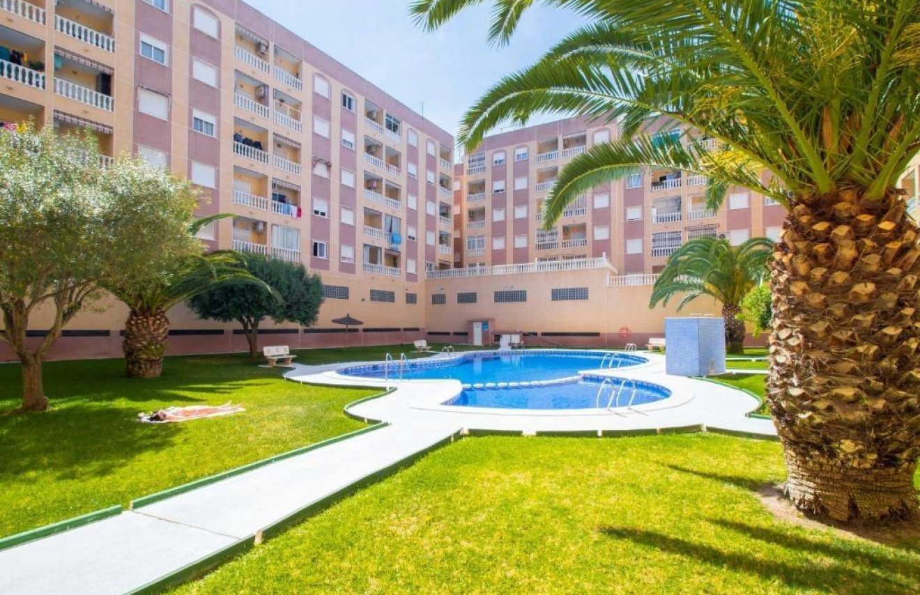 Revente - Apartamento - Torrevieja - Parque de las Naciones