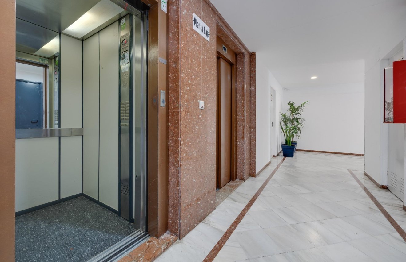 Resale - Piso - Torrevieja - La veleta