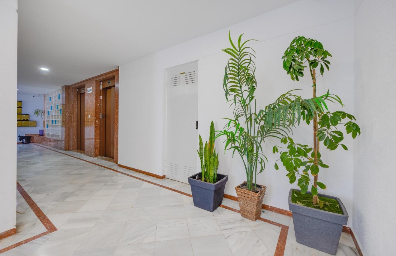 Resale - Piso - Torrevieja - La veleta