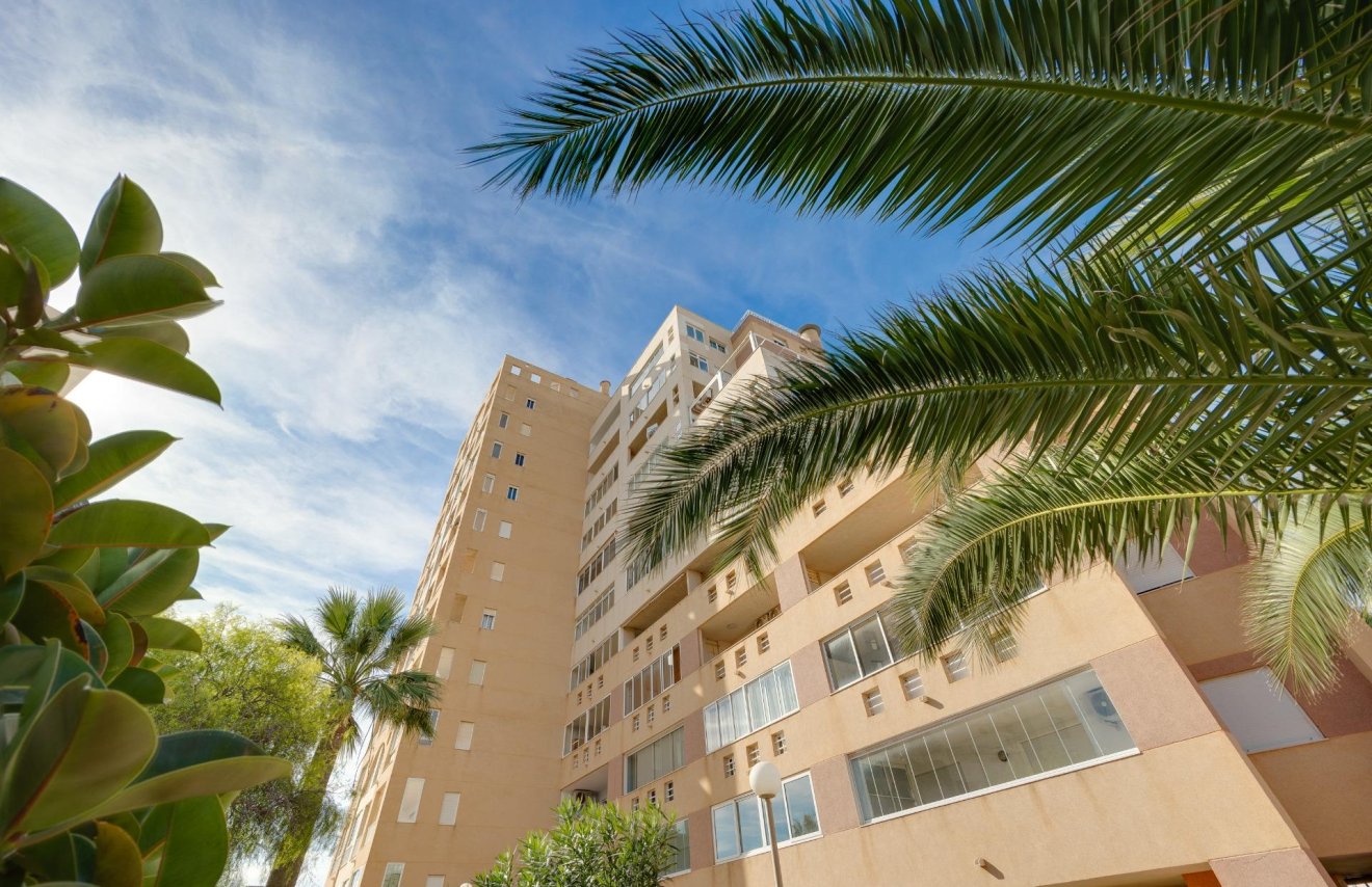 Resale - Piso - Torrevieja - La veleta