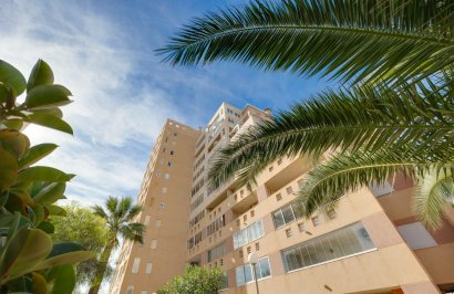 Resale - Piso - Torrevieja - La veleta