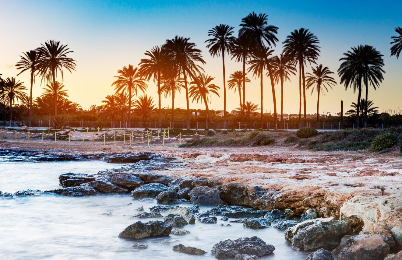 Resale - Piso - Torrevieja - La veleta