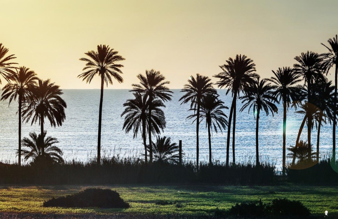 Resale - Piso - Torrevieja - La veleta