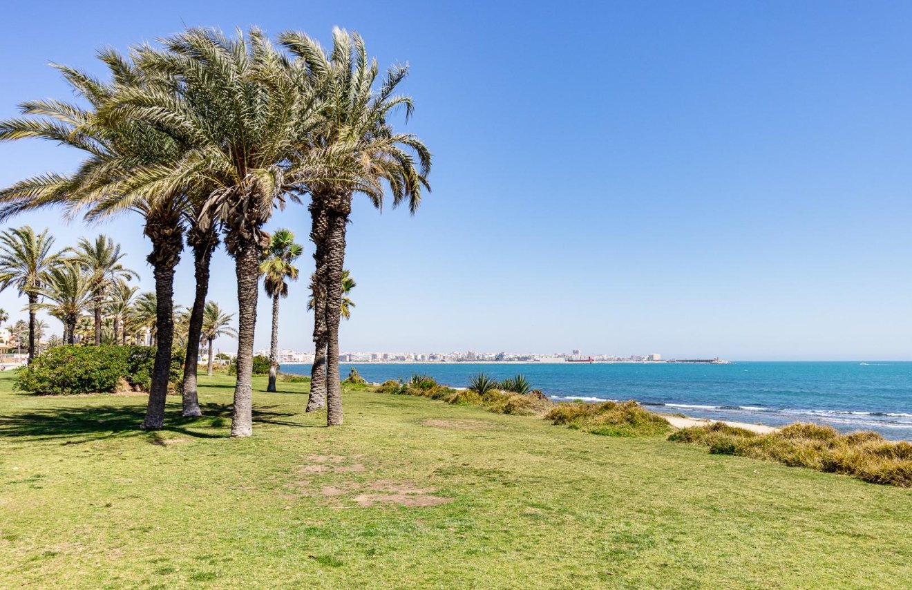 Resale - Piso - Torrevieja - La veleta