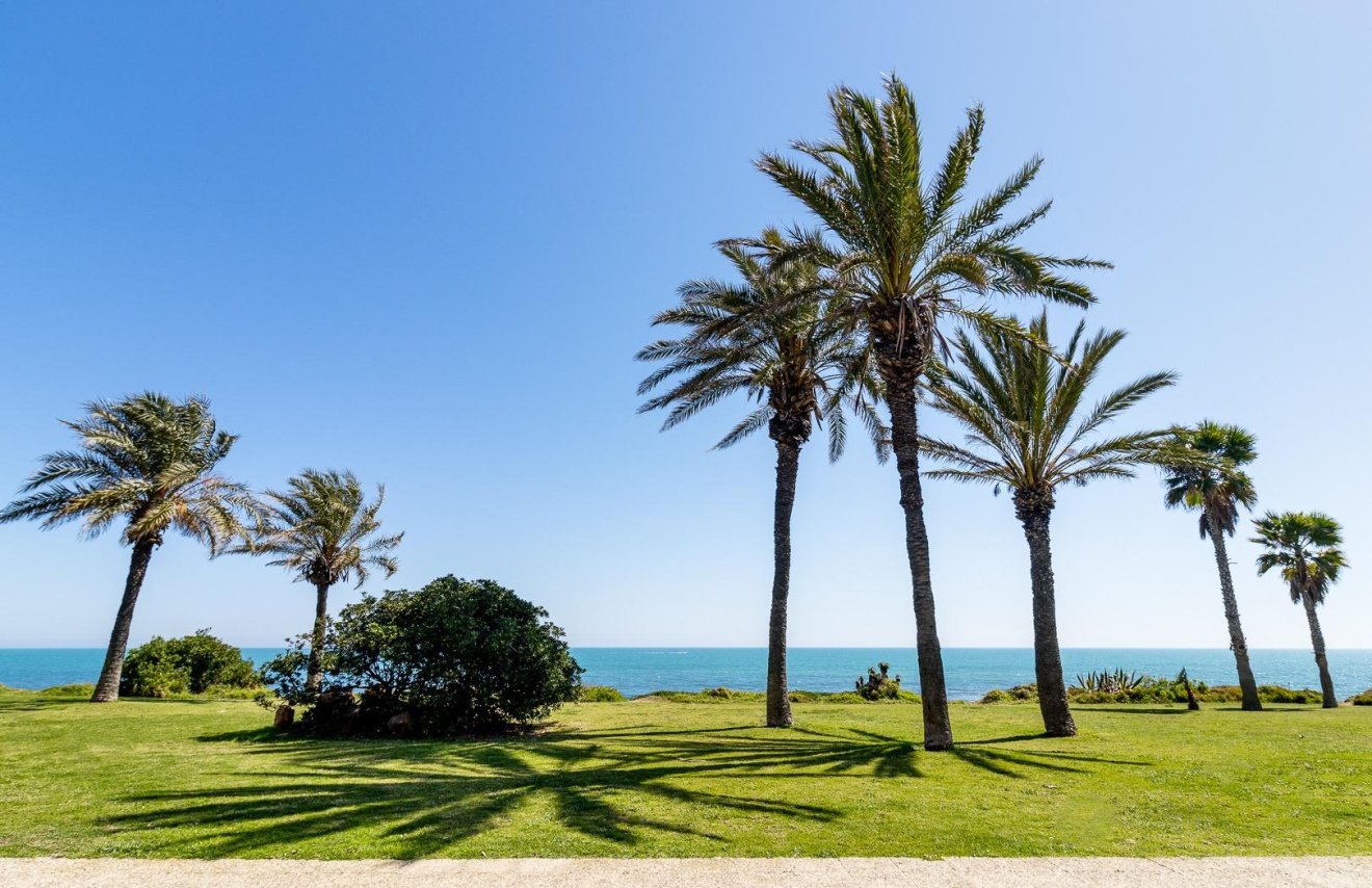 Resale - Piso - Torrevieja - La veleta