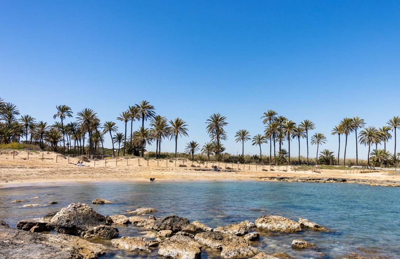 Resale - Piso - Torrevieja - La veleta