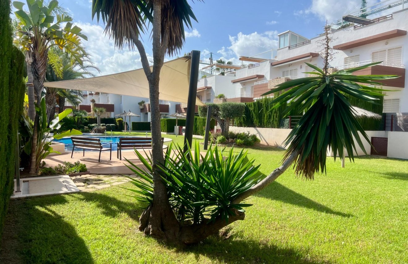 Resale - Penthouse - Orihuela Costa - La Ciñuelica