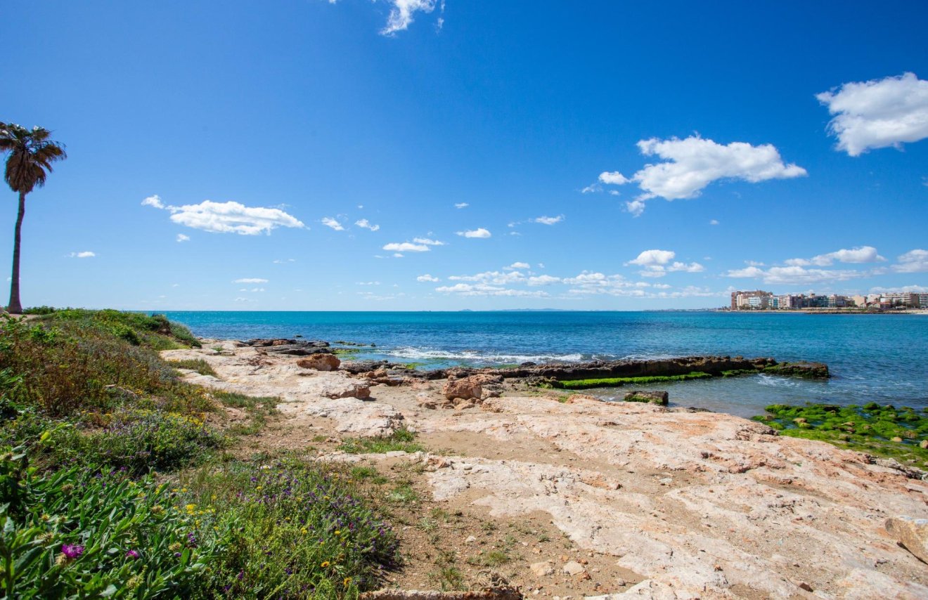 Revente - Apartamento - Torrevieja - Centro - Muelle Pesquero