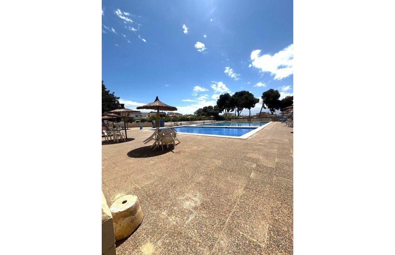 Revente - Casa Tipo Dúplex - Torrevieja - El limonar