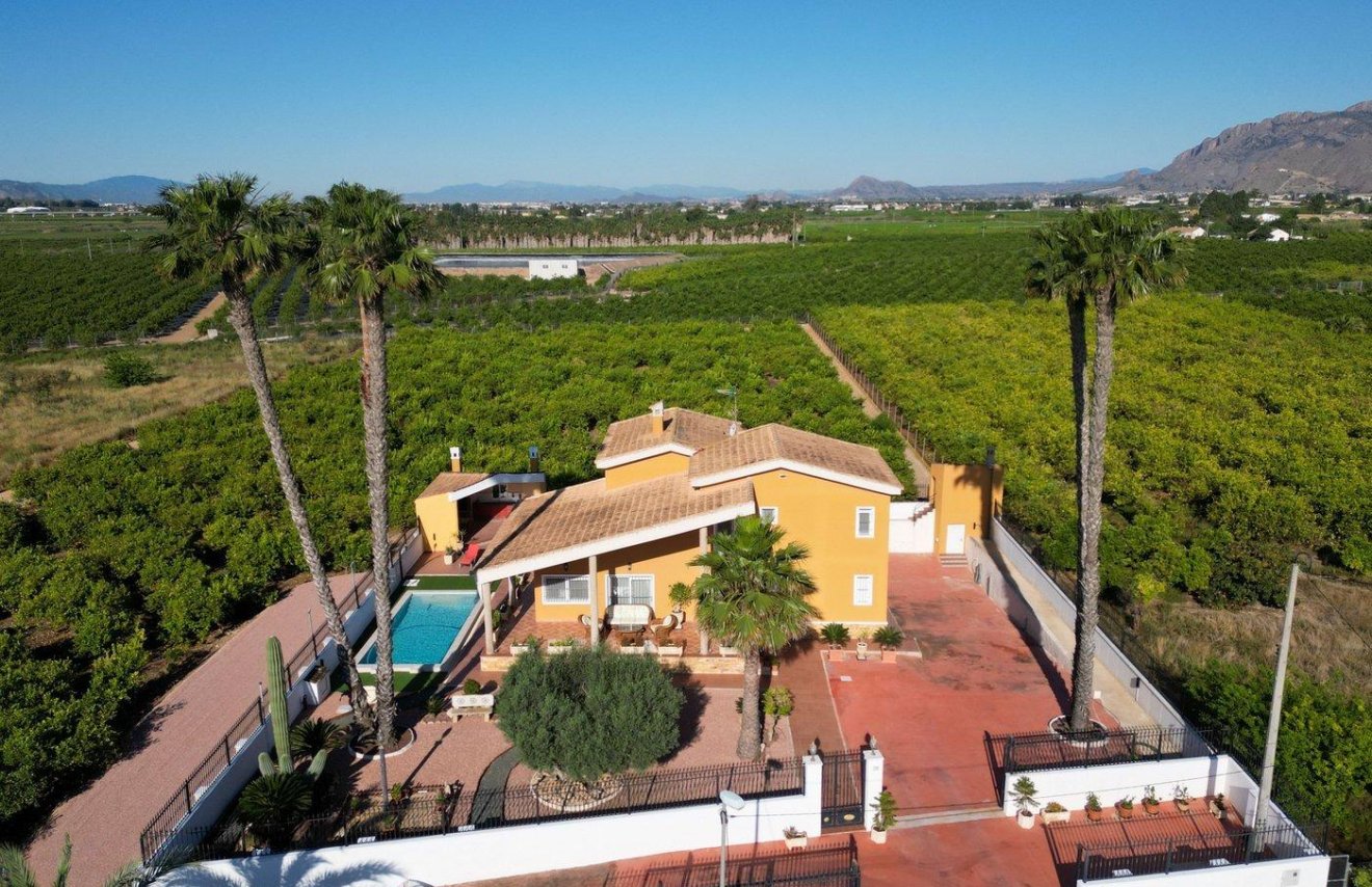 Revente - Chalet - Orihuela - Orihuela Ciudad