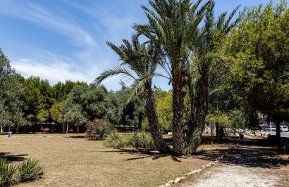 Revente - Apartamento - Torrevieja - Acequion