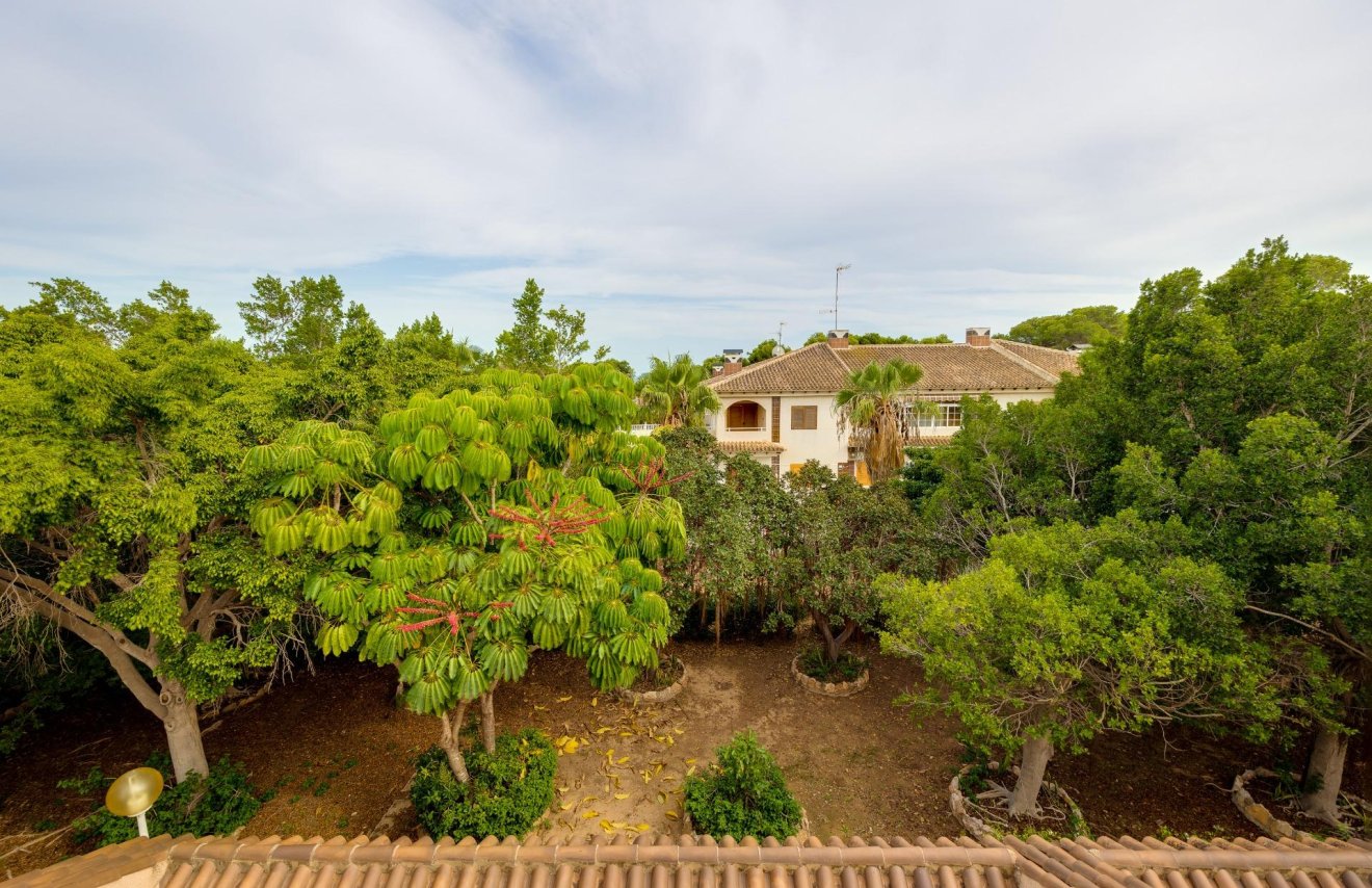 Revente - Maison de ville - Torrevieja - Rocio del mar