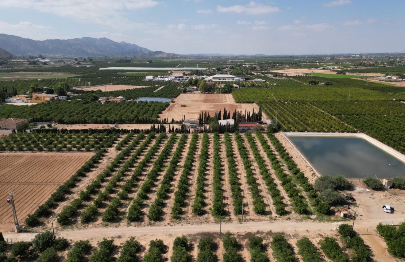 Reventa - Terreno rural - Orihuela - La Murada-Los Vicentes