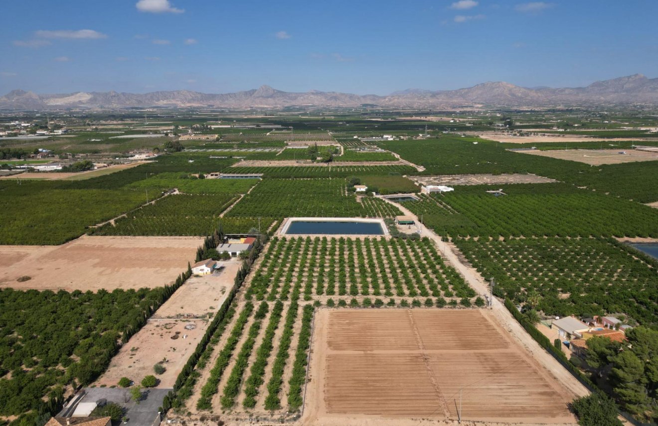 Reventa - Terreno rural - Orihuela - La Murada-Los Vicentes