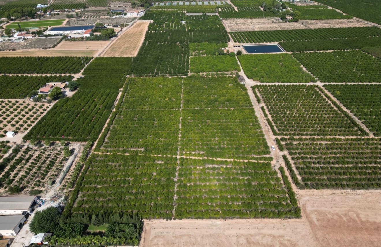 Reventa - Terreno rural - Orihuela - La Murada-Los Vicentes