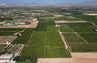 Reventa - Terreno rural - Orihuela - La Murada-Los Vicentes