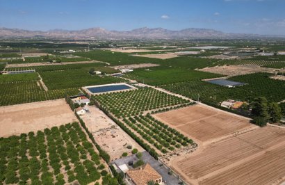 Reventa - Terreno rural - Orihuela - La Murada-Los Vicentes