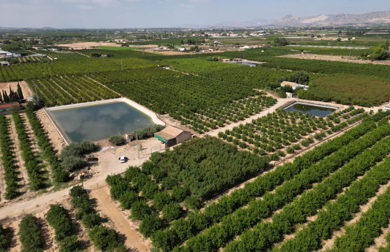 Reventa - Terreno rural - Orihuela - La Murada-Los Vicentes