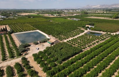 Reventa - Terreno rural - Orihuela - La Murada-Los Vicentes