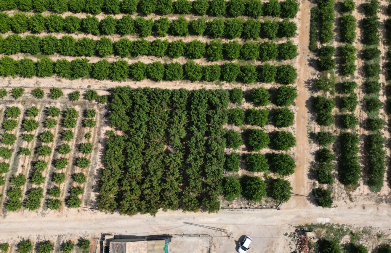 Reventa - Terreno rural - Orihuela - La Murada-Los Vicentes