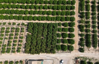 Reventa - Terreno rural - Orihuela - La Murada-Los Vicentes