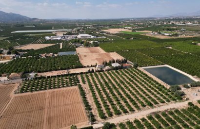Reventa - Terreno rural - Orihuela - La Murada-Los Vicentes