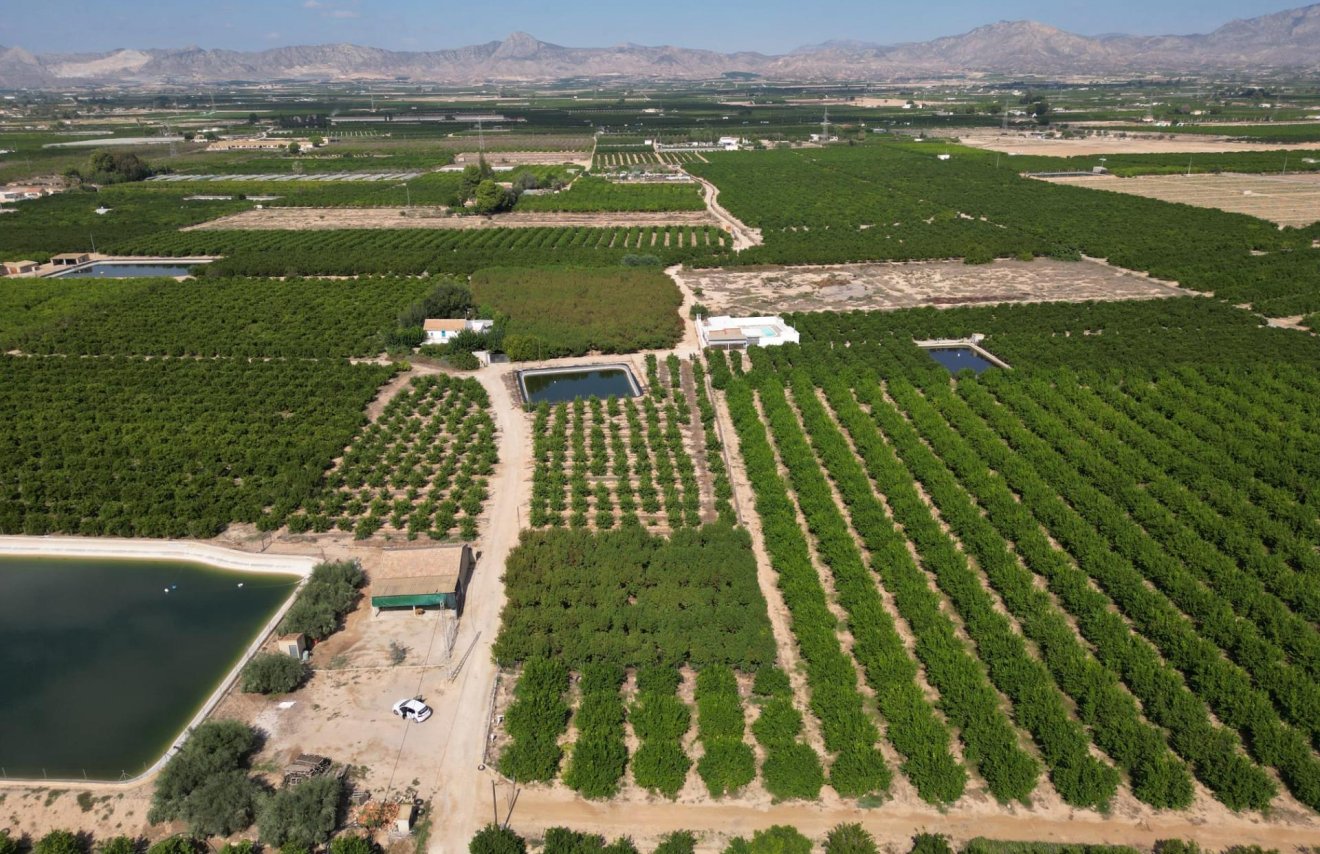 Reventa - Terreno rural - Orihuela - La Murada-Los Vicentes