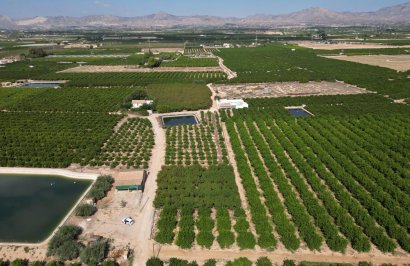 Reventa - Terreno rural - Orihuela - La Murada-Los Vicentes