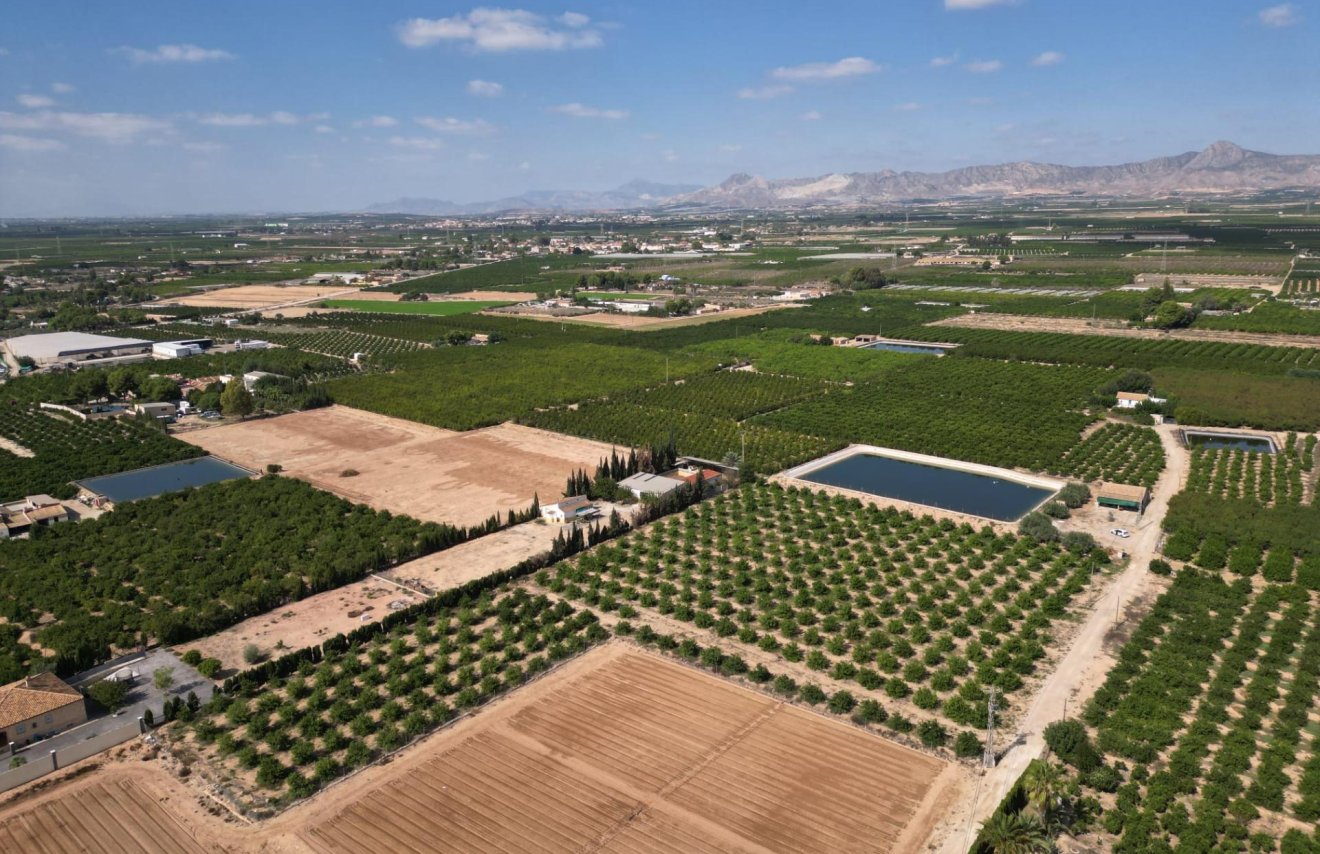 Reventa - Terreno rural - Orihuela - La Murada-Los Vicentes