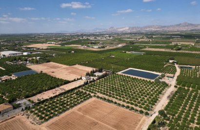 Reventa - Terreno rural - Orihuela - La Murada-Los Vicentes