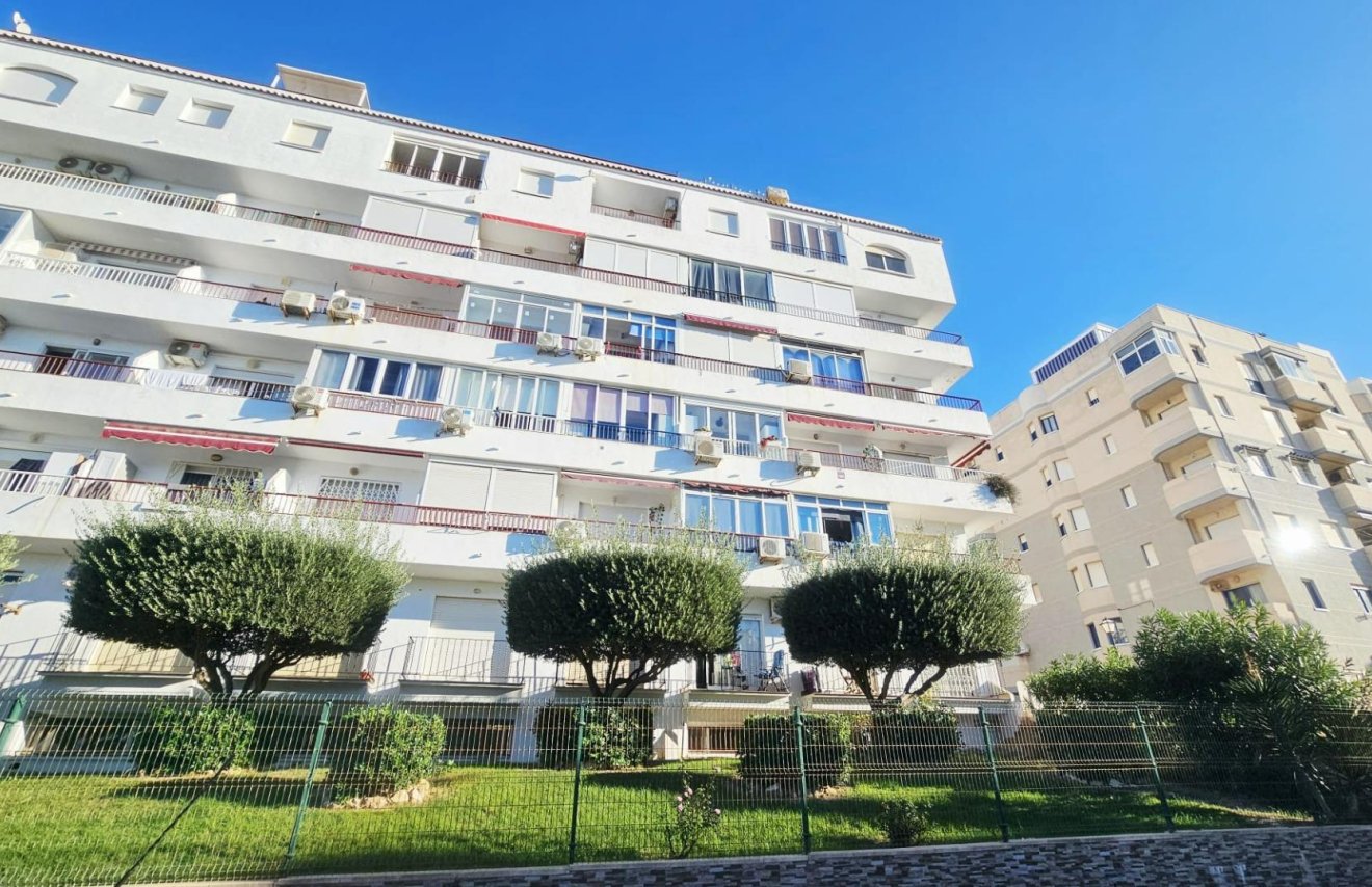 Reventa - Estudio - Torrevieja - Torreblanca