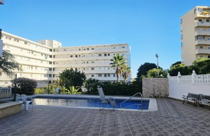 Reventa - Estudio - Torrevieja - Torreblanca