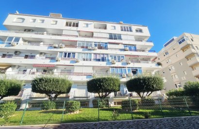 Reventa - Estudio - Torrevieja - Torreblanca