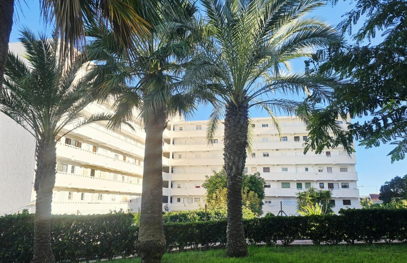 Reventa - Estudio - Torrevieja - Torreblanca