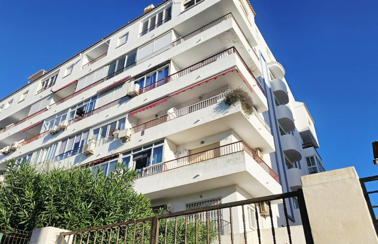 Reventa - Estudio - Torrevieja - Torreblanca