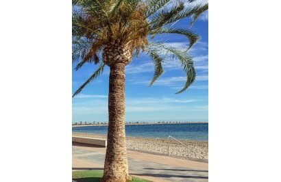 Resale - Apartamento - San Pedro del Pinatar