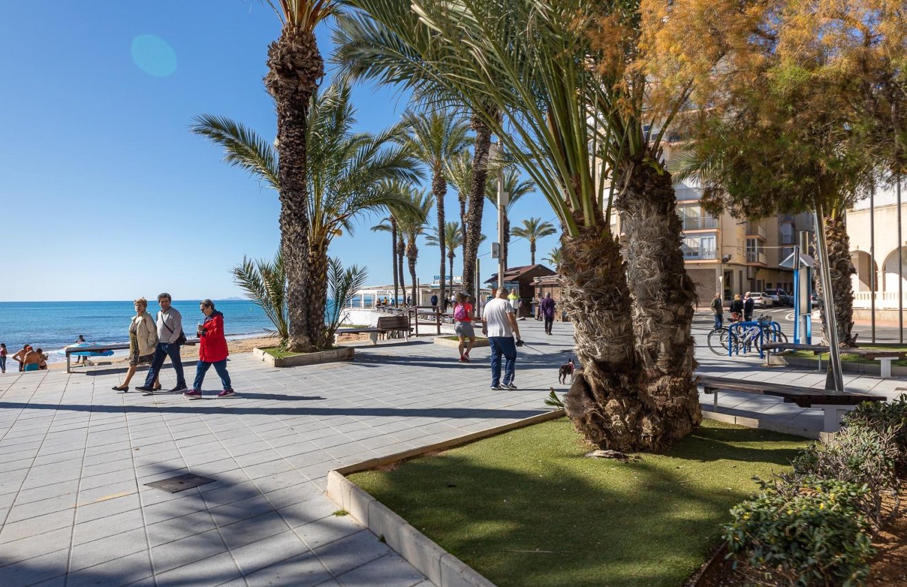 Reventa - Apartamento - Torrevieja - Habaneras