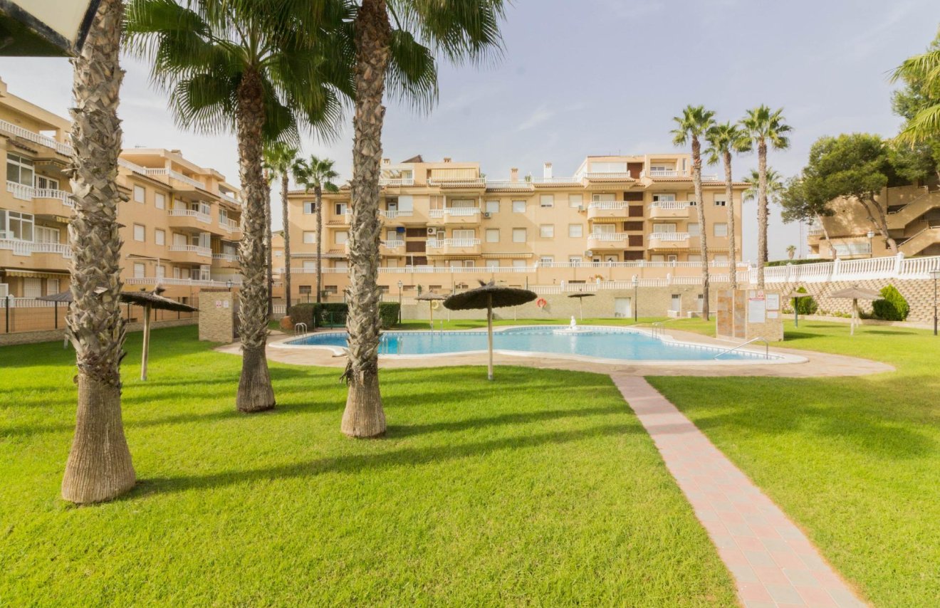 Reventa - Apartamento - Guardamar del Segura - Pueblo