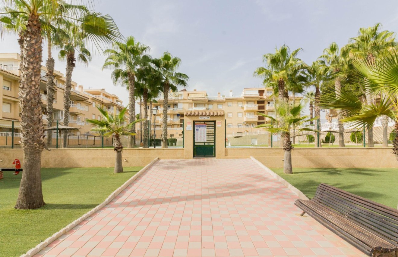 Reventa - Apartamento - Guardamar del Segura - Pueblo