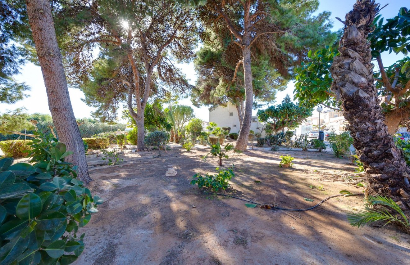 Reventa - Casa Tipo Dúplex - Torrevieja - El limonar