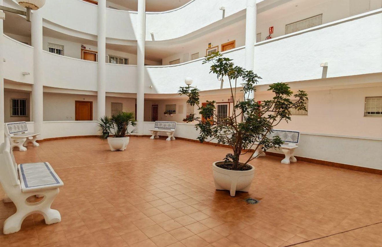 Reventa - Apartamento - Torrevieja - Parque de las Naciones