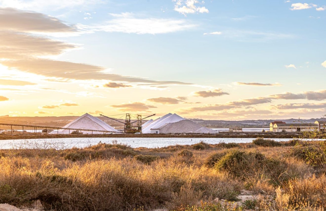 Reventa - Apartamento - Torrevieja - Parque de las Naciones