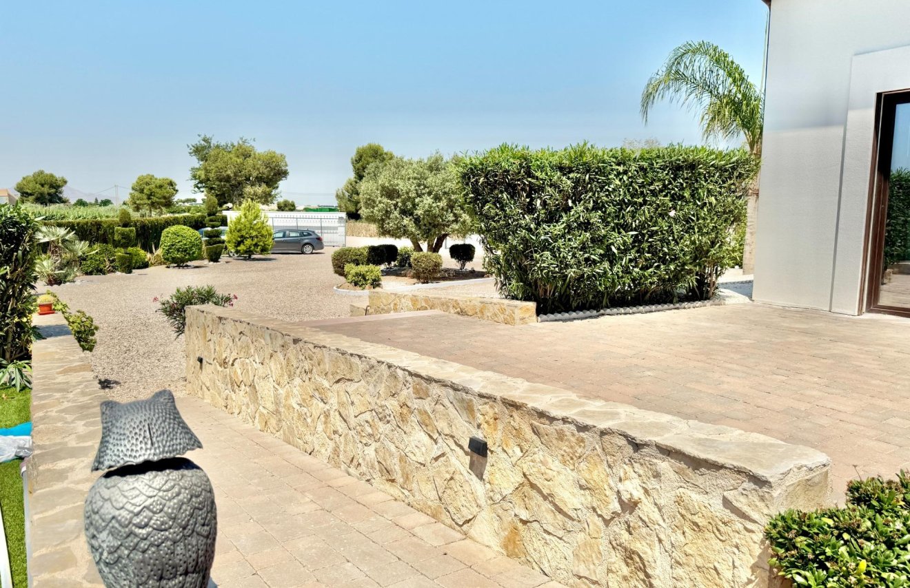 Reventa - Villa de Lujo - Dolores - Comunidad valenciana