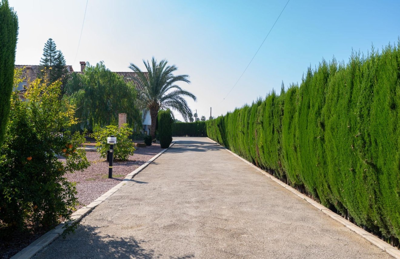 Reventa - Villa de Lujo - Catral - Comunidad valenciana