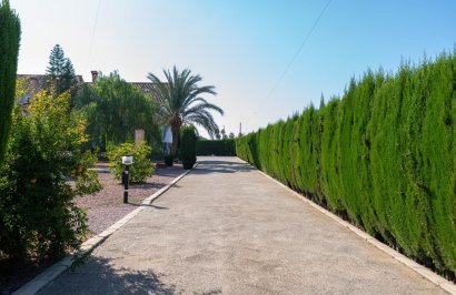 Reventa - Villa de Lujo - Catral - Comunidad valenciana