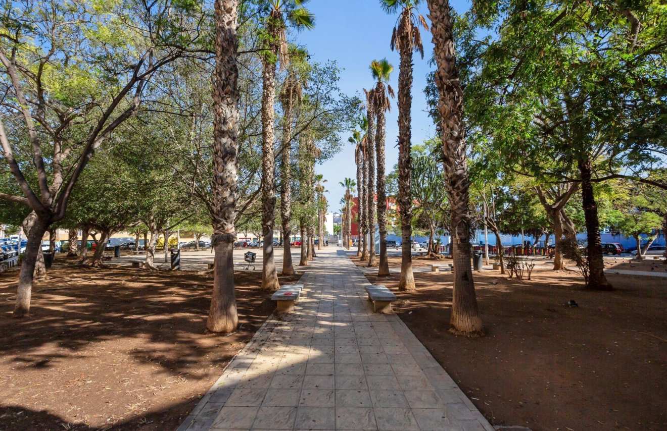 Reventa - Apartamento - Torrevieja - Centro