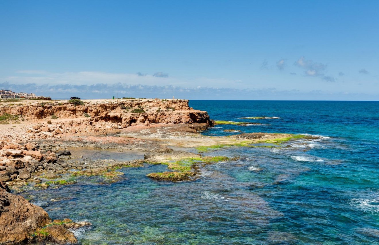 Reventa - Chalet - Torrevieja - Los Frutales