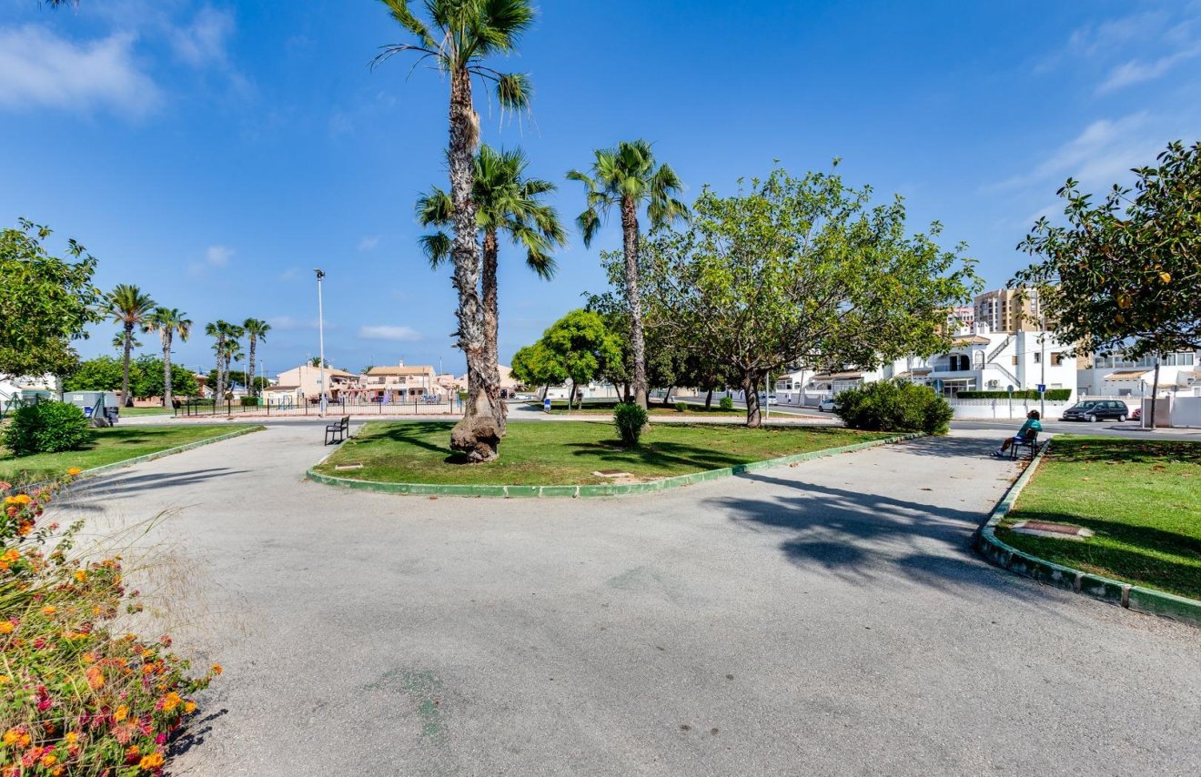 Reventa - Chalet - Torrevieja - Los Frutales