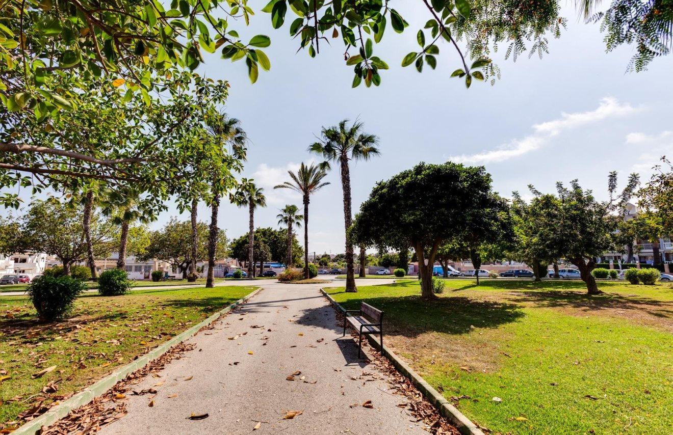 Reventa - Chalet - Torrevieja - Los Frutales