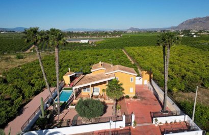 Reventa - Chalet - Orihuela - Orihuela Ciudad